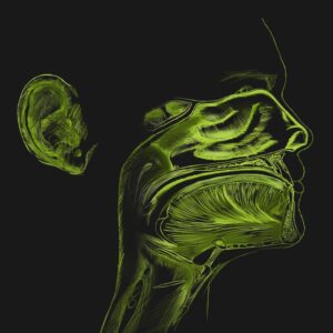 Otorrinolaringología